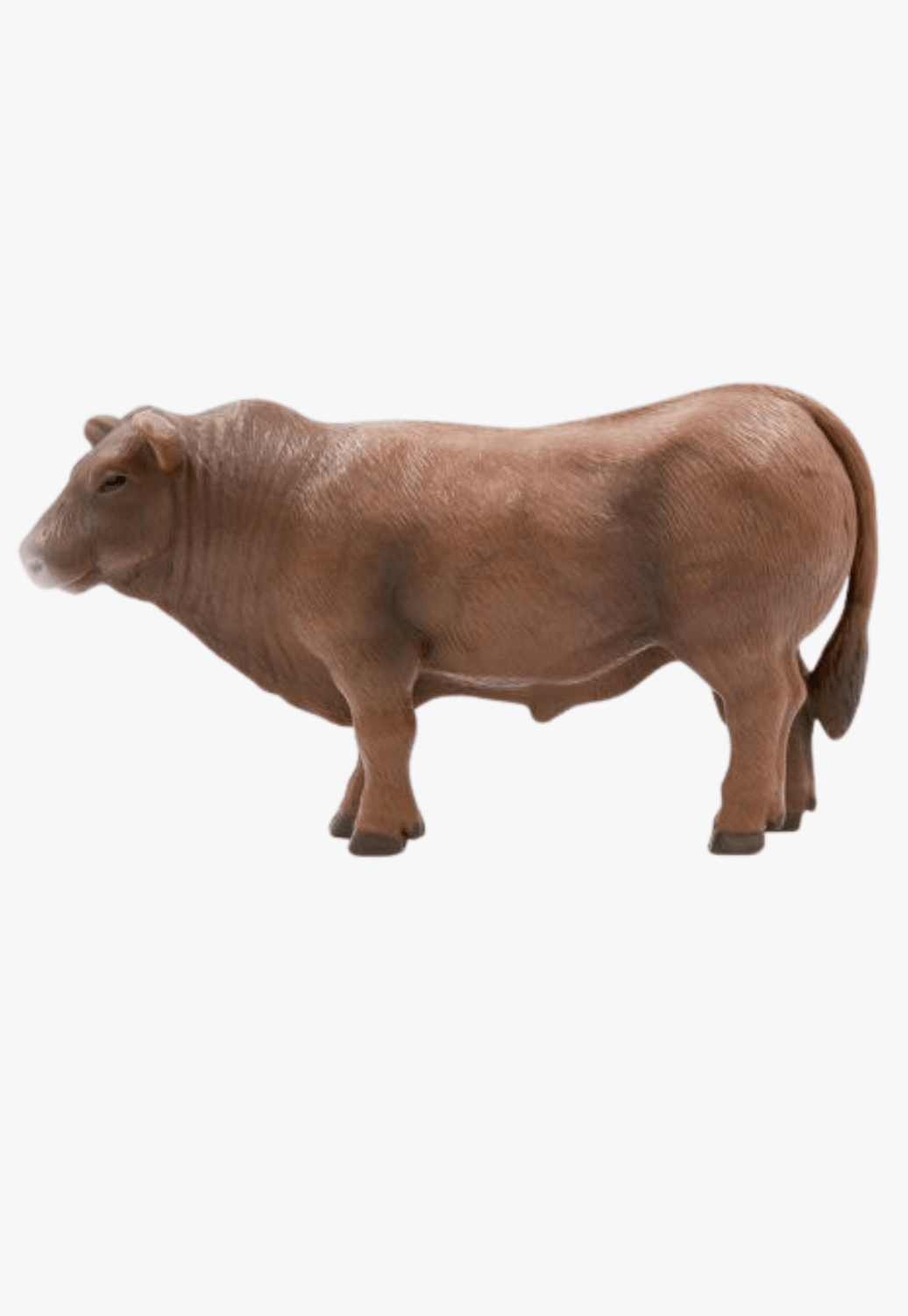 Little Buster Toys TOYS Red Little Buster Toys Angus Bull