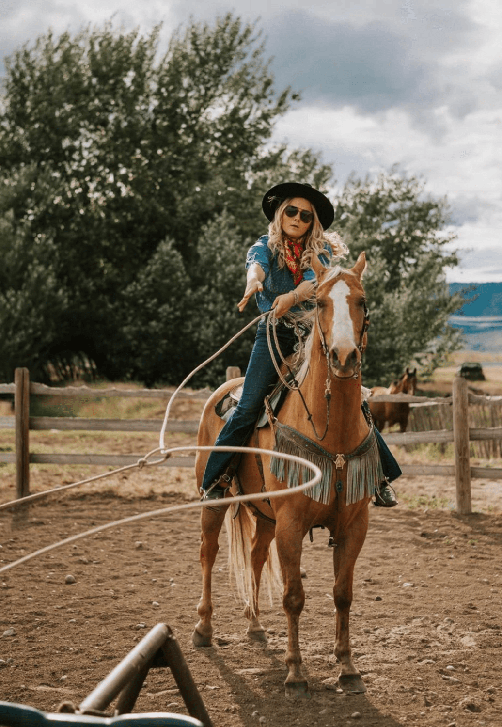 American Bonfire Co. ACCESSORIES-Sunglasses Black American Bonfire Co. Jaden Aviator Sunglasses