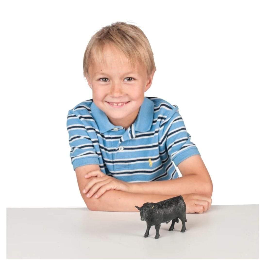 Big Country Toys ACCESSORIES-General Big Country Toys Angus Bull