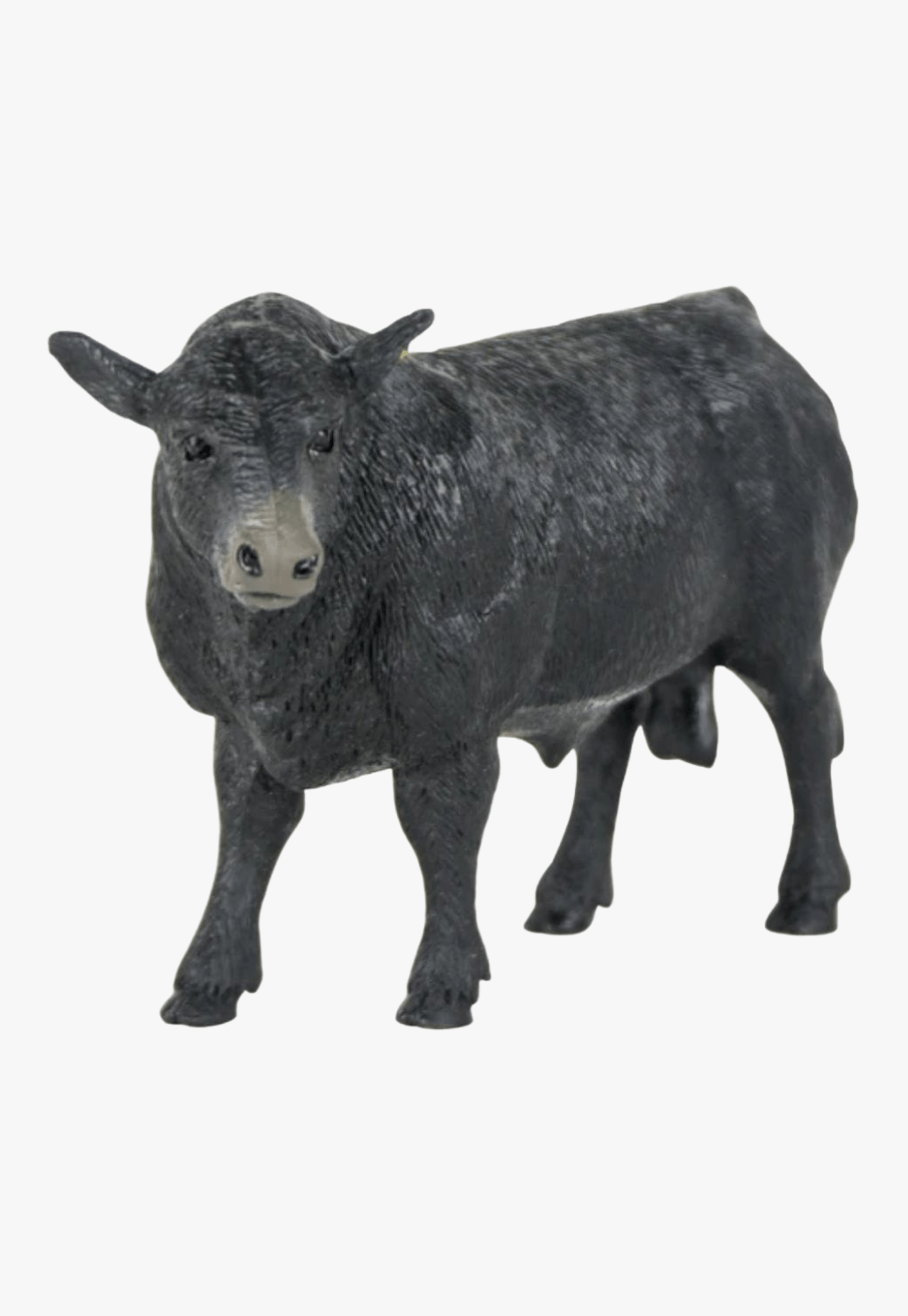 Big Country Toys ACCESSORIES-General Big Country Toys Angus Bull