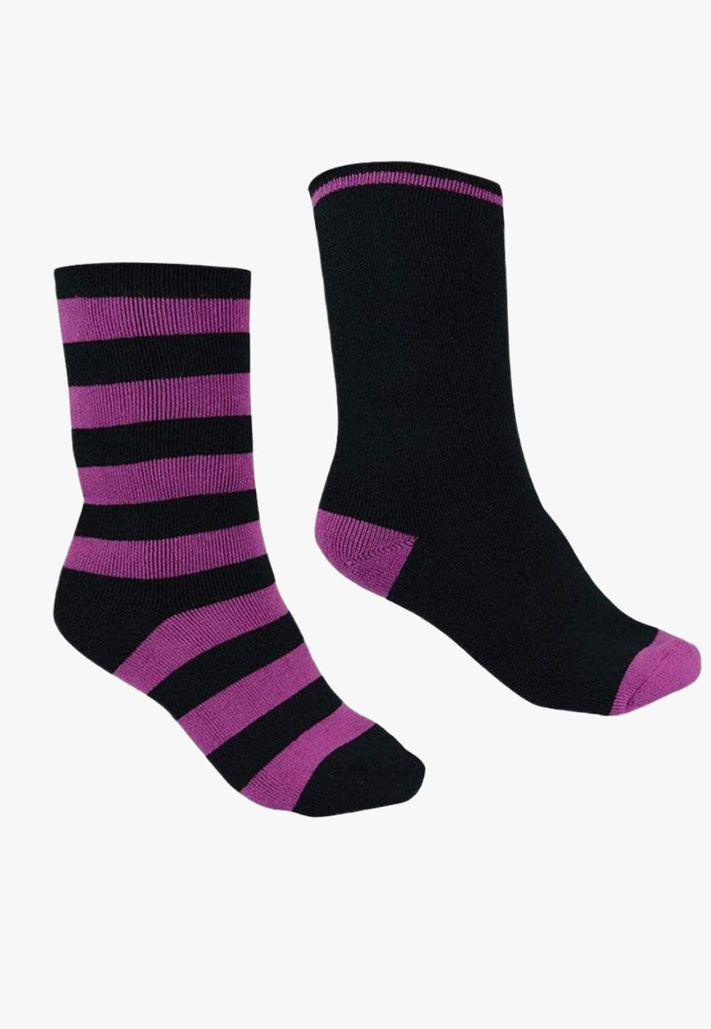 Thomas Cook ACCESSORIES-Socks Thomas Cook Thermal Socks 2 Pack